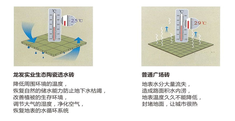 1594344384594046.jpg 11.jpg